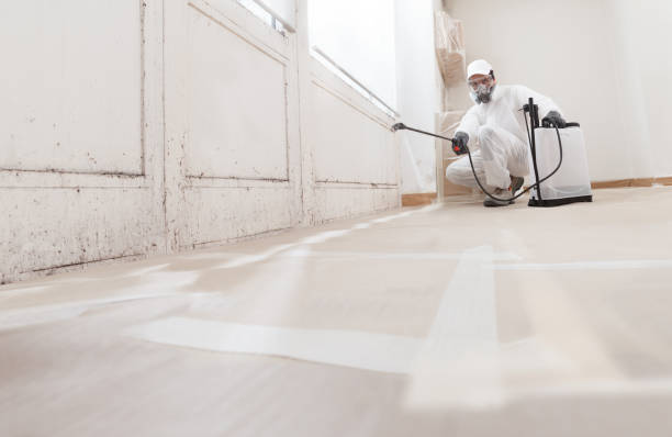 24/7 Emergency Mold Removal experts in Mebane, NC